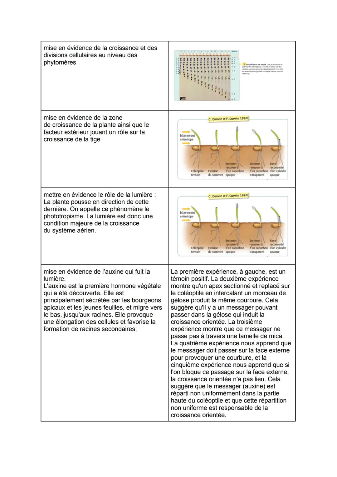 De la plante sauvage à la plante domestiquée
Chap 1: L'organisation fonctionnelle des plantes à fleurs
Les racines possèdent de très
nombreu