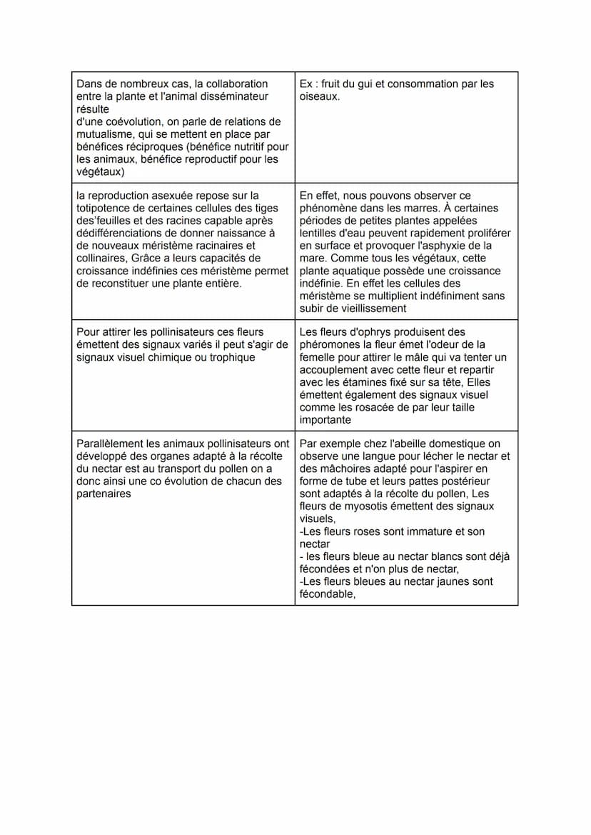 De la plante sauvage à la plante domestiquée
Chap 1: L'organisation fonctionnelle des plantes à fleurs
Les racines possèdent de très
nombreu