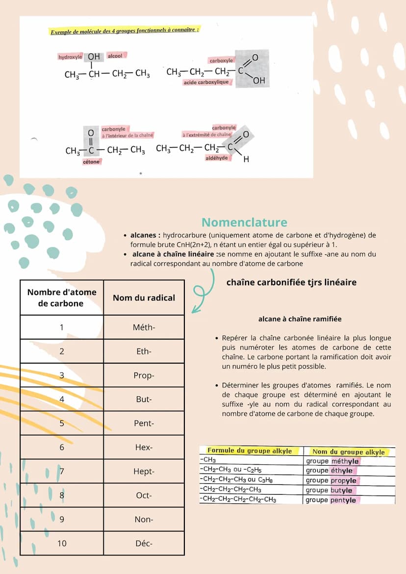 Structure des entités
organiques
Différentes modélisations d'une molécule
• modèle moléculaire : chaque atome est représenté par une boule d