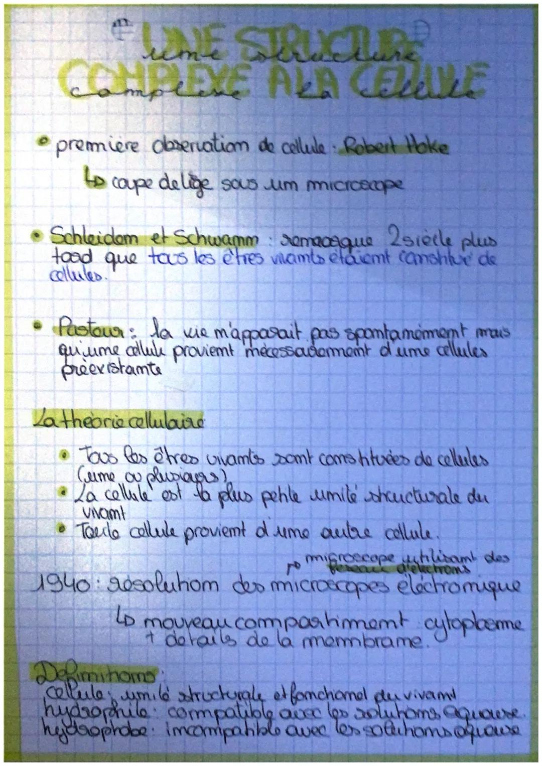 # LINE STRUCTURE
COMPLEYE ALA CEZAILE

•première observation de cellule. Robert Hoke

to coupe delige sous um microecope

• Schleidem et Sch
