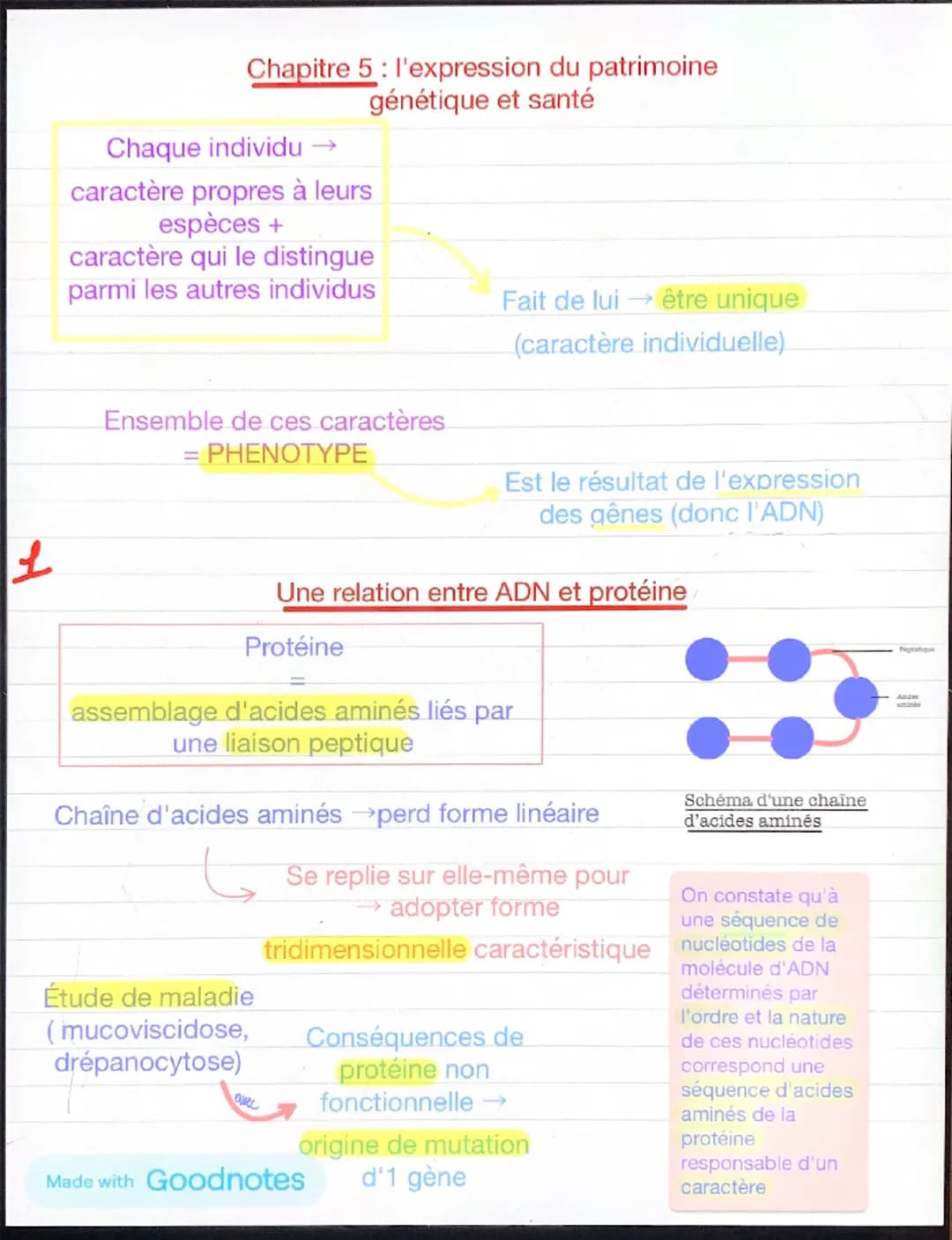 1
Chapitre 5: l'expression du patrimoine
génétique et santé
Chaque individu →
caractère propres à leurs
espèces +
caractère qui le distingue