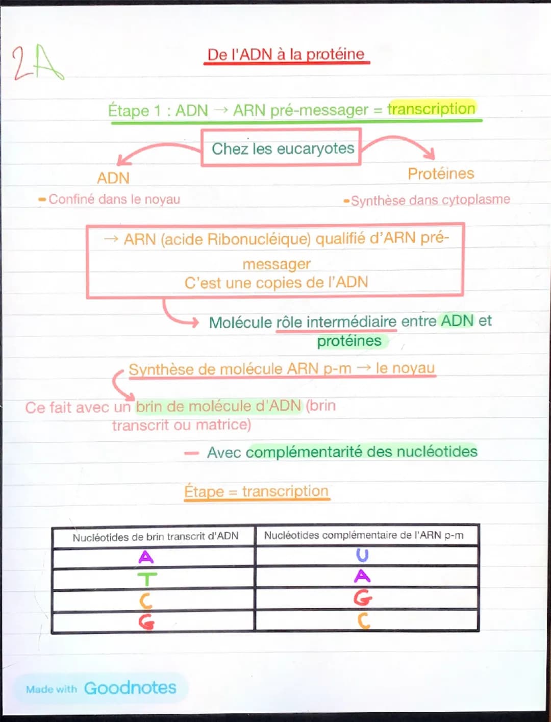 1
Chapitre 5: l'expression du patrimoine
génétique et santé
Chaque individu →
caractère propres à leurs
espèces +
caractère qui le distingue