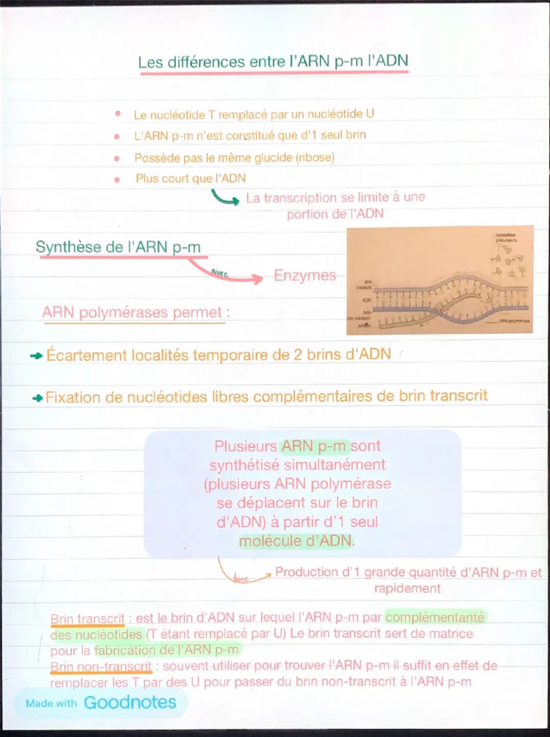 1
Chapitre 5: l'expression du patrimoine
génétique et santé
Chaque individu →
caractère propres à leurs
espèces +
caractère qui le distingue