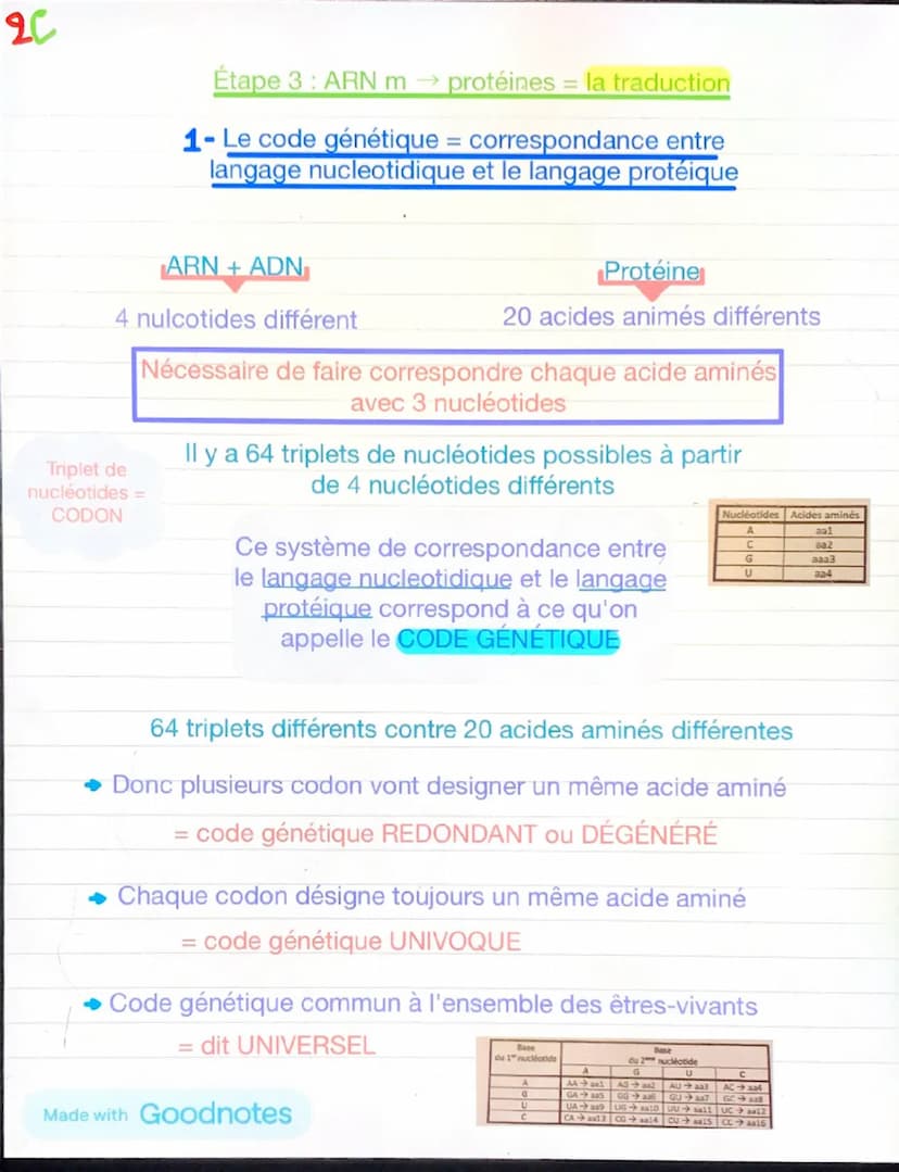 1
Chapitre 5: l'expression du patrimoine
génétique et santé
Chaque individu →
caractère propres à leurs
espèces +
caractère qui le distingue