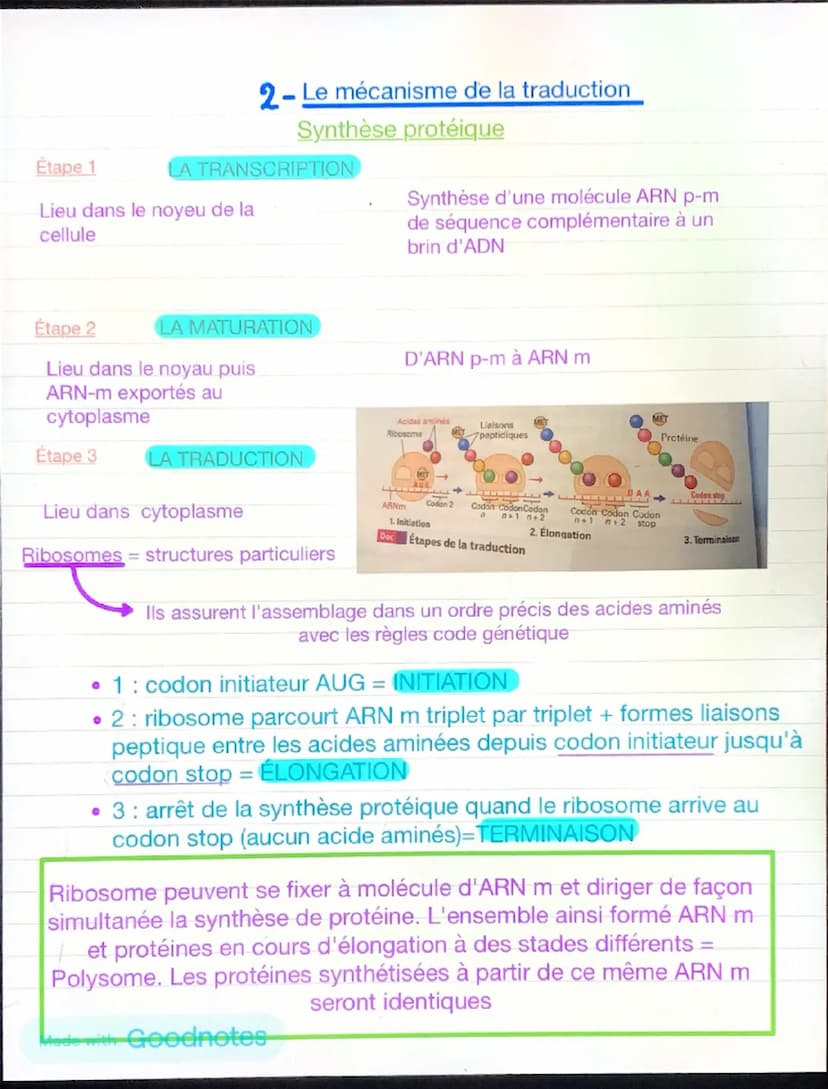 1
Chapitre 5: l'expression du patrimoine
génétique et santé
Chaque individu →
caractère propres à leurs
espèces +
caractère qui le distingue