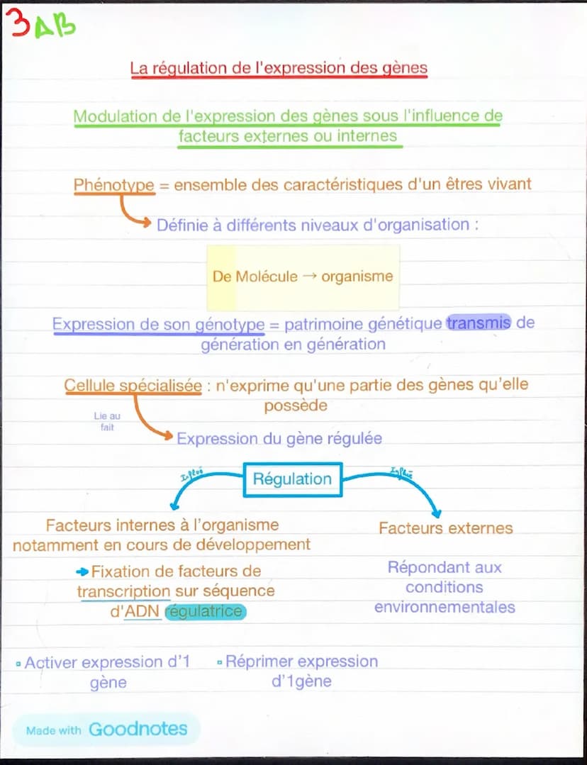 1
Chapitre 5: l'expression du patrimoine
génétique et santé
Chaque individu →
caractère propres à leurs
espèces +
caractère qui le distingue