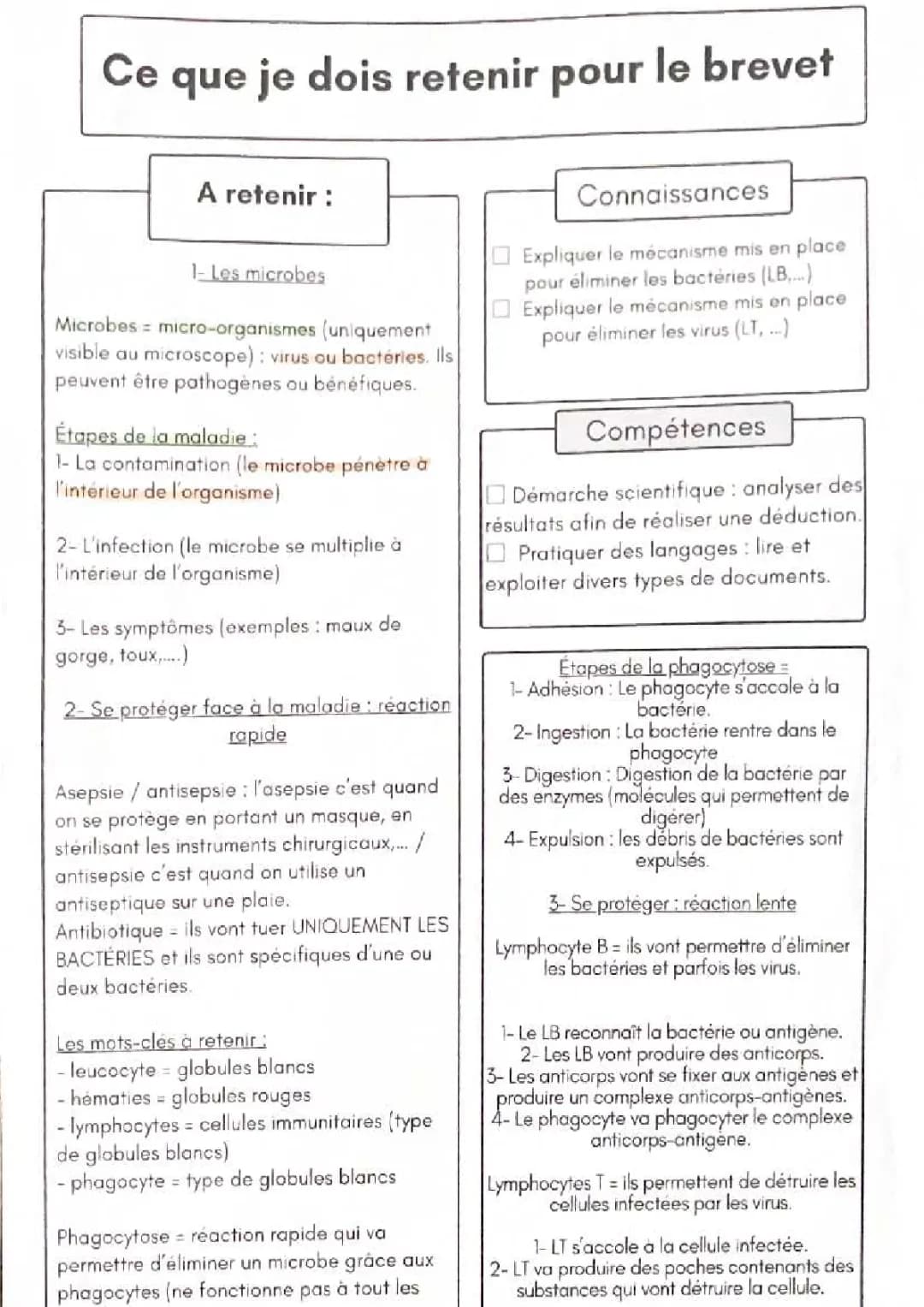 les microbes 