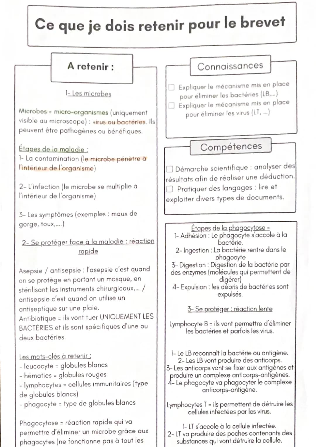 Ce
que je dois retenir pour le brevet
A retenir :
1- Les microbes
Microbes micro-organismes (uniquement
visible au microscope): virus ou bac