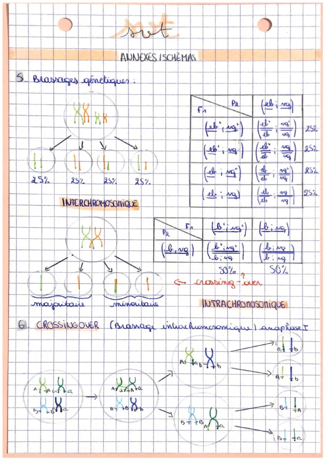 a
لسر
Lougine du genotype des individus
genstype ensemble des versions de gener (allibes) d'un individu
clome: ensemble de cellules génétiqu