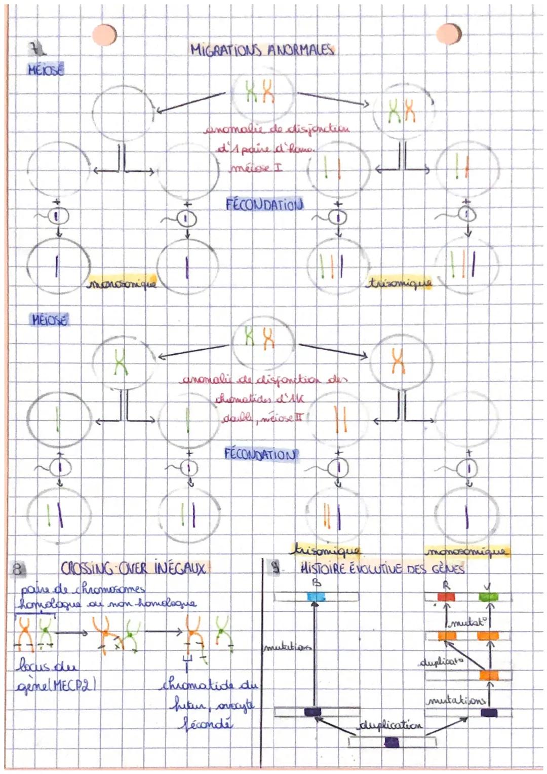 a
لسر
Lougine du genotype des individus
genstype ensemble des versions de gener (allibes) d'un individu
clome: ensemble de cellules génétiqu