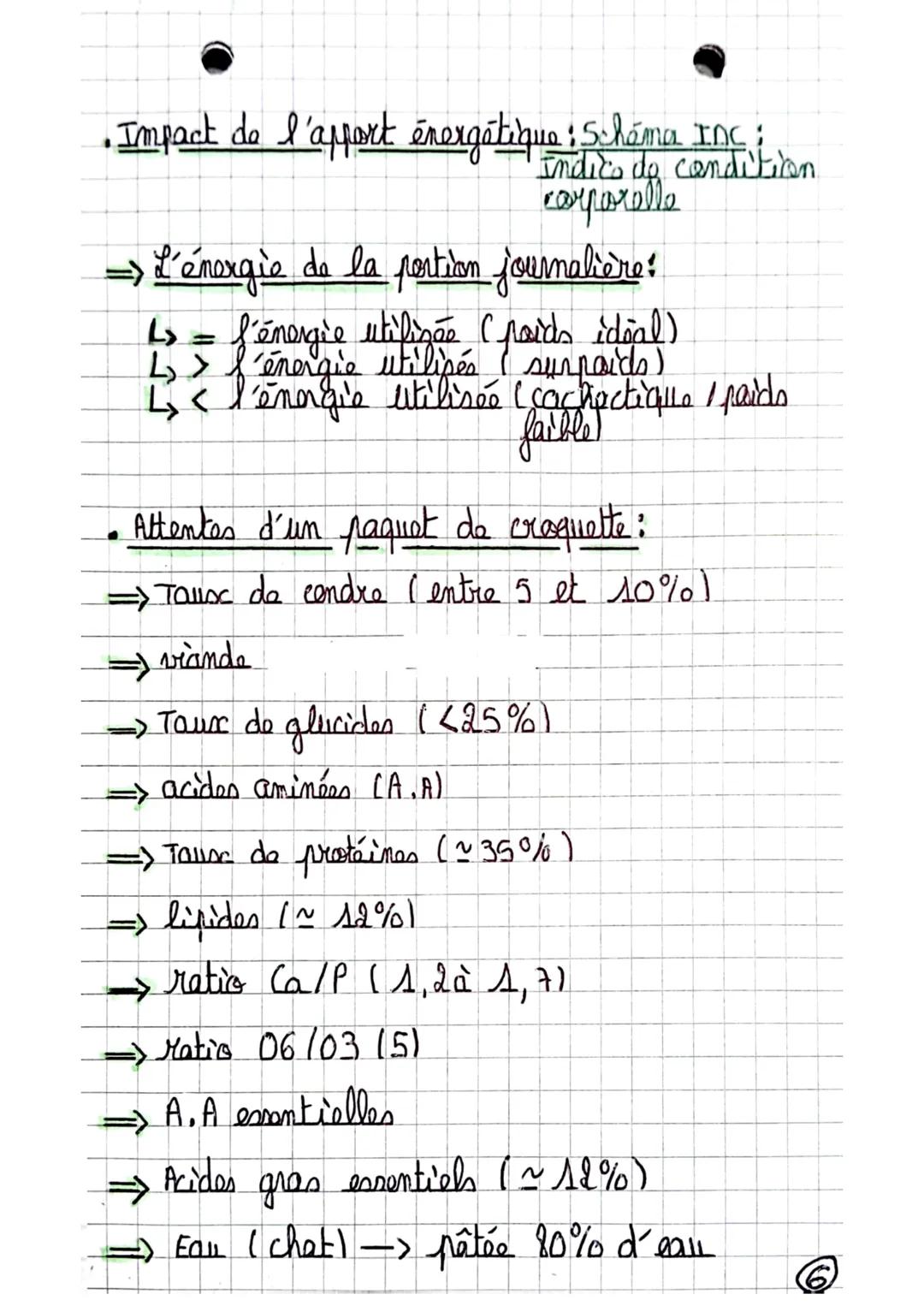 • La constitution de la croquette :
do à 30% d'amidan, sinan ells no tient pas
→ Présence d'amidan dans les carorles, les légumineuses.
le t