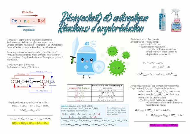 Know Fiche ST2S Physique-Chimie : Désinfectant et antiseptique  thumbnail