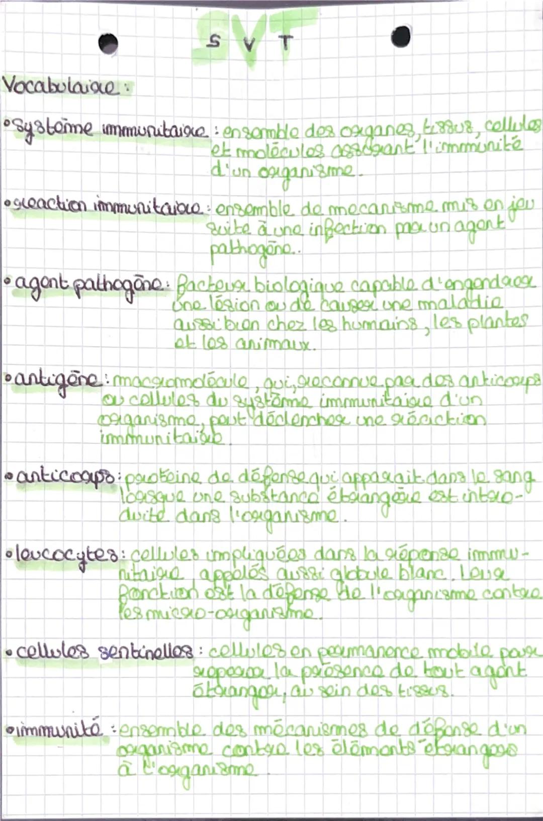 définition 