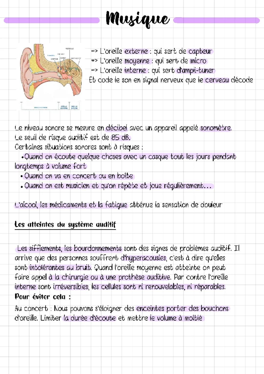 Comment les musiciens et les enfants protègent leurs oreilles : Meilleur bouchon d'oreille pour concert