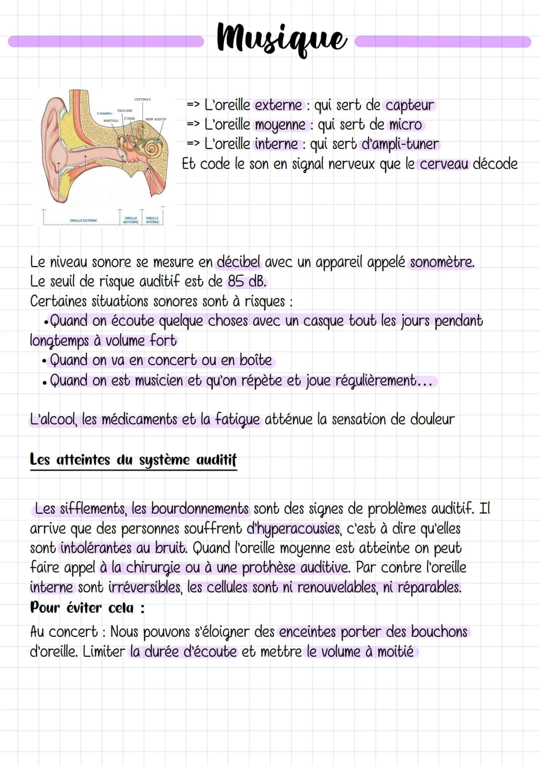 3 osselets
OREILLE EXTERNE
ENCLUME
MARTEAU
VESTIBULE
ÉTRIER
NERF AUDITIF
OREILLE OREILLE
MOYENNE INTERNE
Musique
=> L'oreille externe: qui s