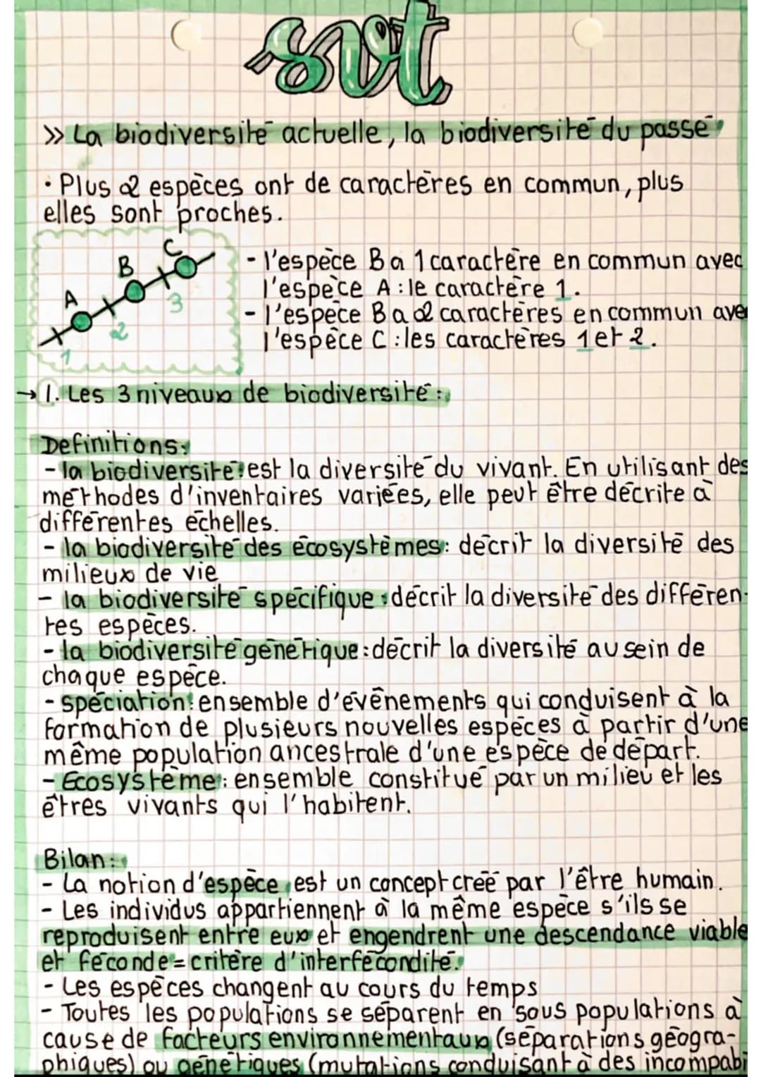 sot
» La biodiversite actuelle, la biodiversite du passe
•Plus 2 espèces ont de caracteres en commun, plus
elles sont proches.
B
A
+0+
3
- l