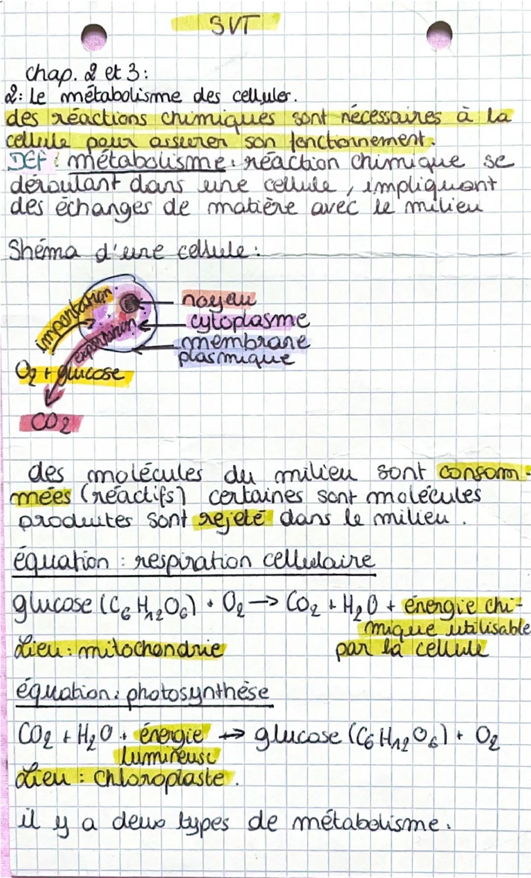 SVT : métabolisme des cellules et ADN