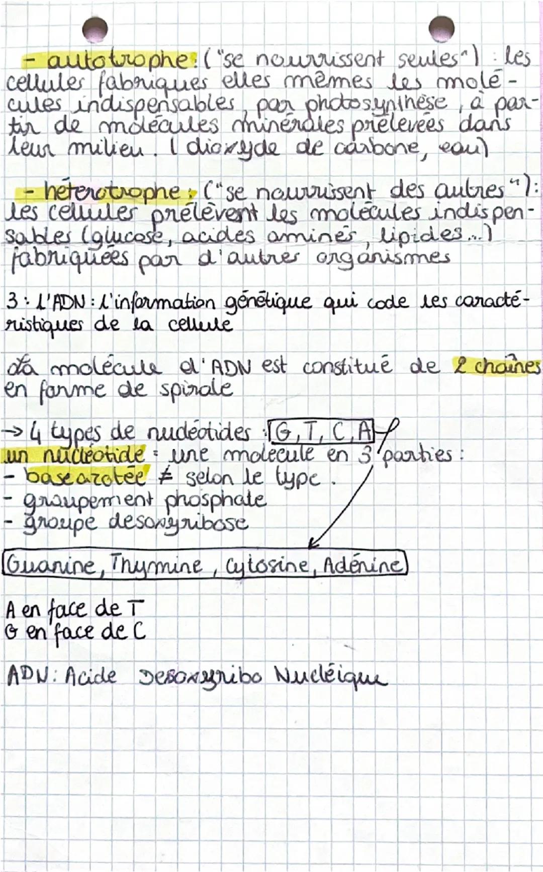 # SVT

chap. 2 et 3:
2: le métabolisme des cellules.
des réactions chimiques sont nécessaires à la
cellule pour assurer son fonctionnement.
