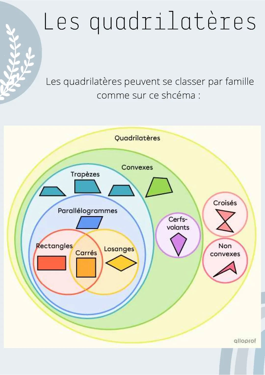 les quadrilatères 