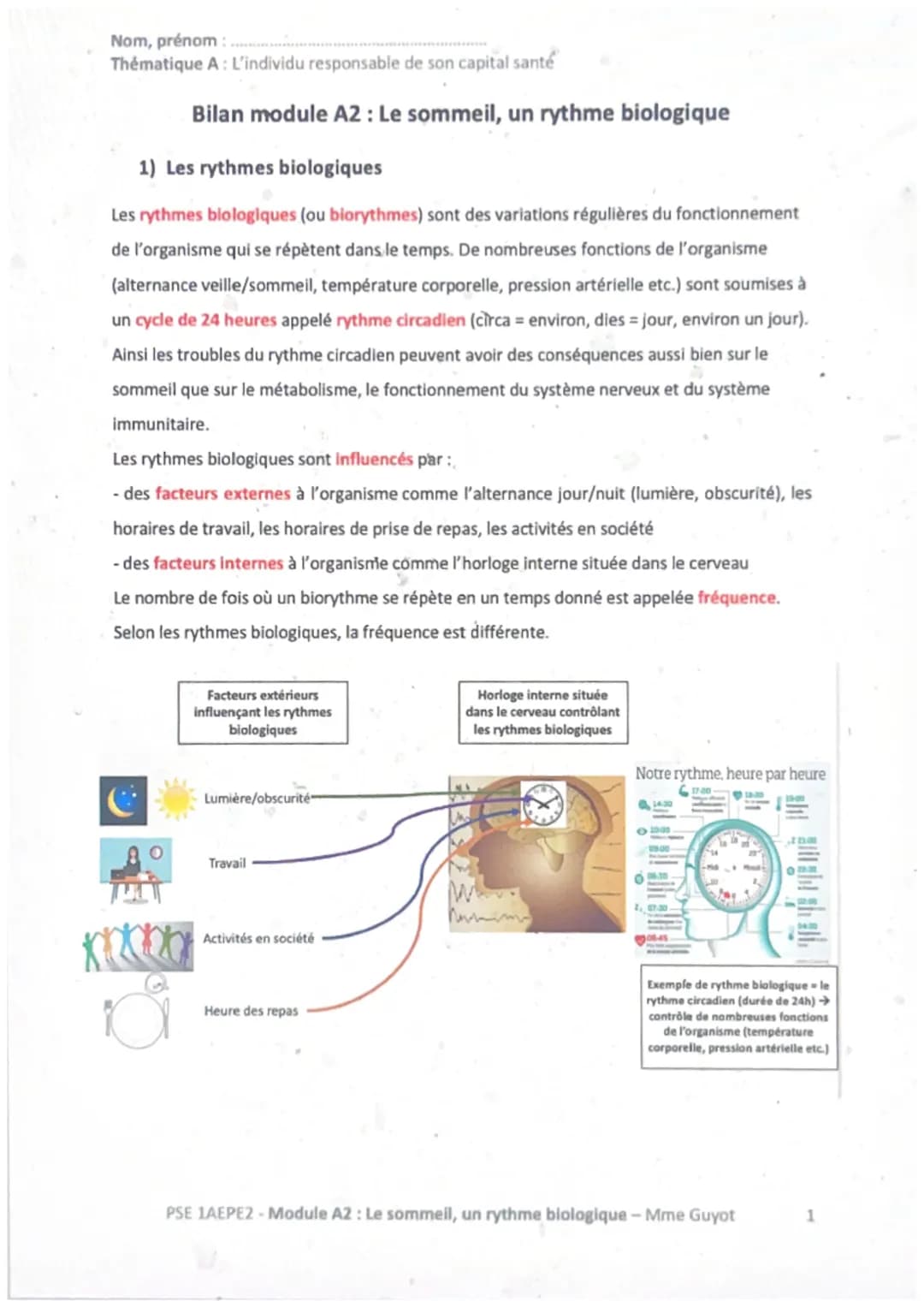 Nom, prénom :
Thématique A: L'individu responsable de son capital santé
Bilan module A2: Le sommeil, un rythme biologique
1) Les rythmes bio