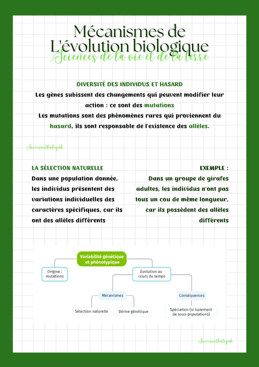 Mécanismes de
L'évolution biologique
Sciences de la vie et de la terre
DIVERSITÉ DES INDIVIDUS ET HASARD
Les gènes subissent des changements