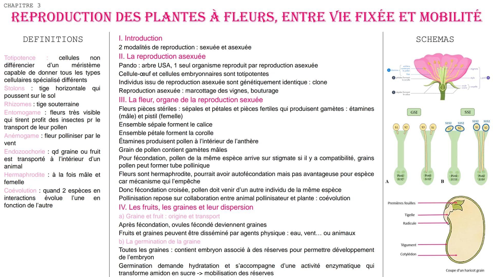 CHAPITRE 3
REPRODUCTION DES PLANTES À FLEURS, ENTRE VIE FIXÉE ET MOBILITÉ
DEFINITIONS
Totipotence
différencier
cellules non
d'un méristème
c