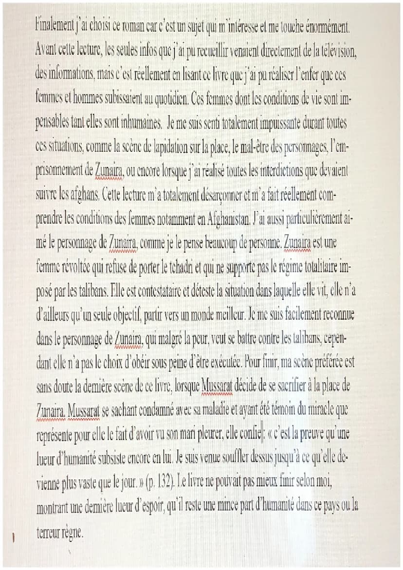 Présentation œuvre Français:
Les Hirondelles De Kaboul
Je vais donc pour la présentation de l'œuvre vous présenter le roman les Hirondelles 