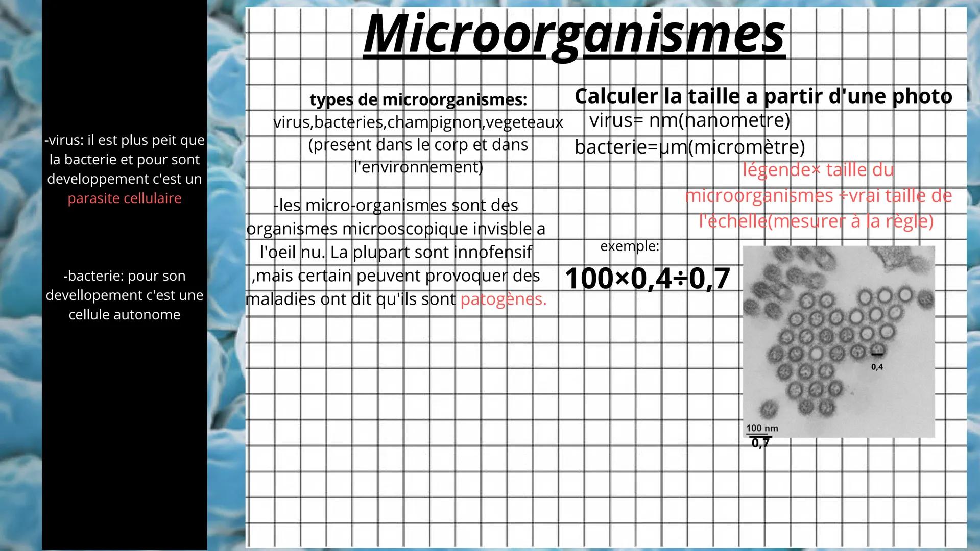 -virus: il est plus peit que
la bacterie et pour sont
developpement c'est un
parasite cellulaire
-bacterie: pour son
devellopement c'est une