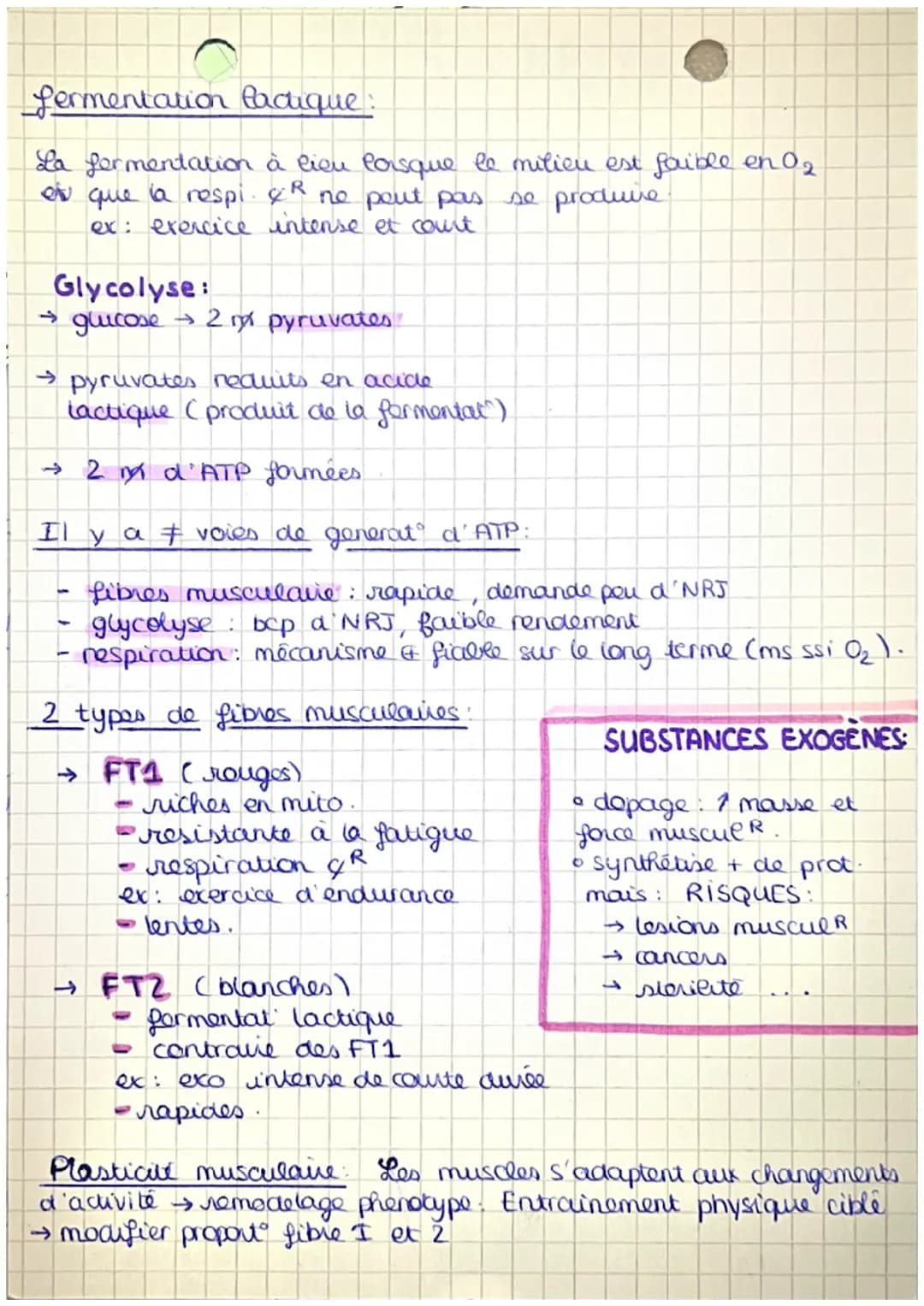 Origine ATP
l'energie necessaire a la contraction musculaire est apporté
sous forme de nx d' ATP. (= adenosine triphosphate)
2 voies métabol
