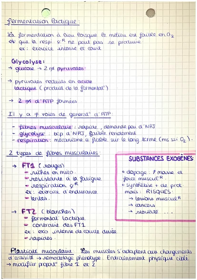 Origine ATP
l'energie necessaire a la contraction musculaire est apporté
sous forme de nx d' ATP. (= adenosine triphosphate)
2 voies métabol