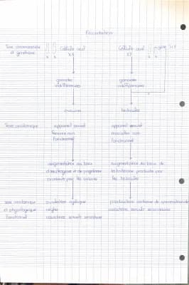 Know schéma fonctionnel  thumbnail