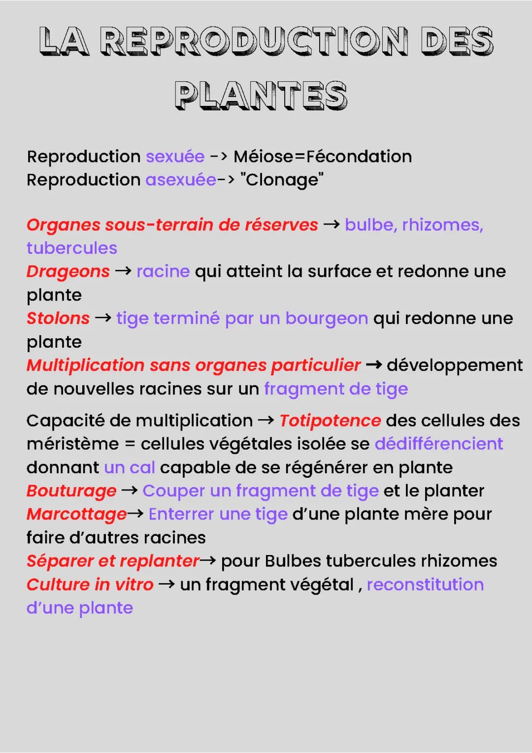 SVT-Reproduction de la plante 