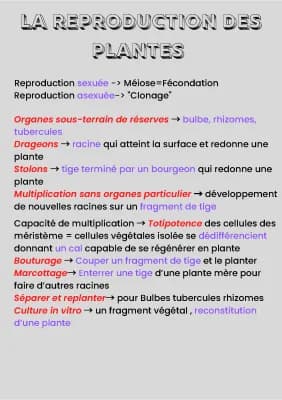Know SVT-Reproduction de la plante  thumbnail