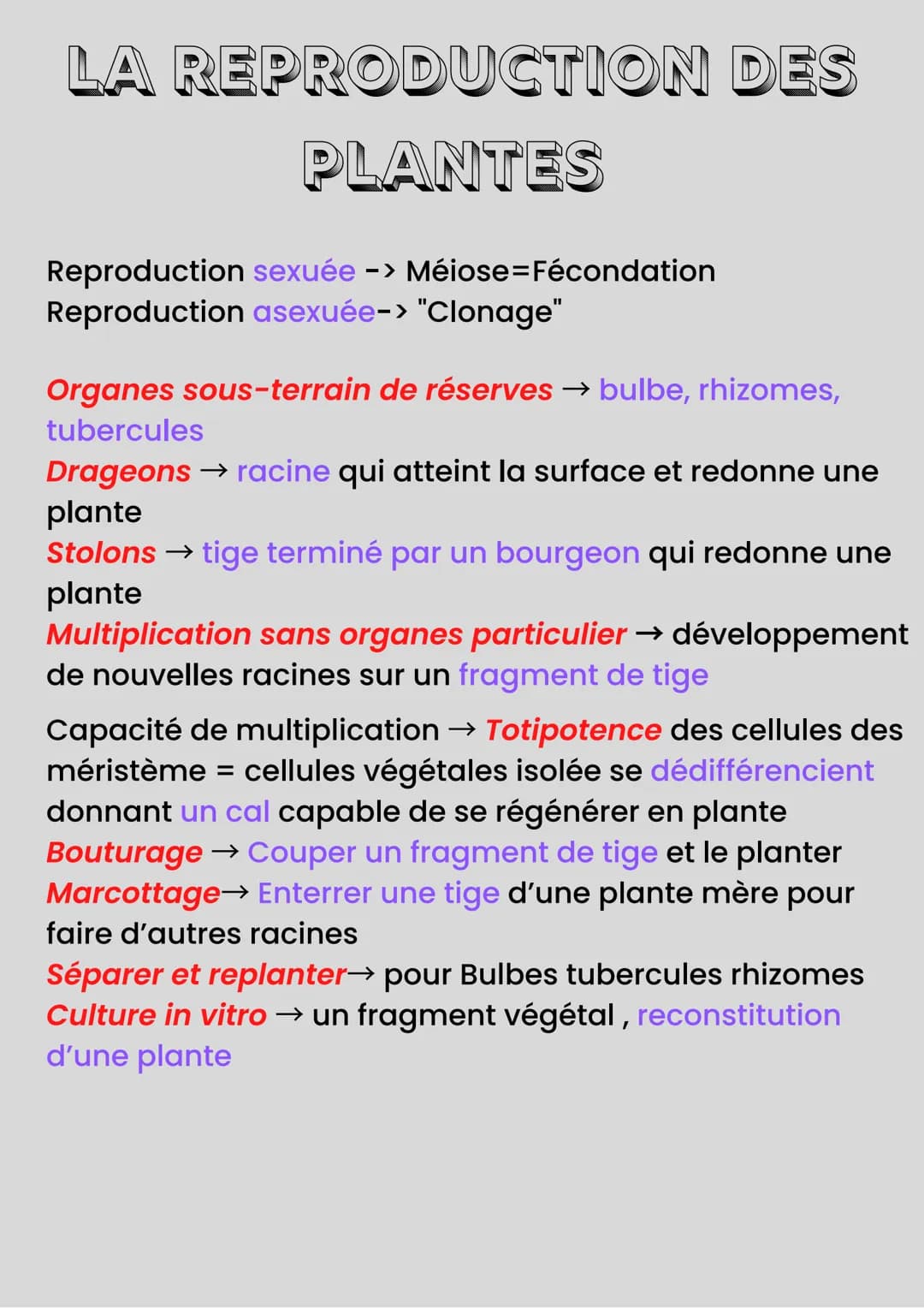 LA REPRODUCTION DES
PLANTES
Reproduction sexuée -> Méiose=Fécondation
Reproduction asexuée-> "Clonage"
Organes sous-terrain de réserves → bu