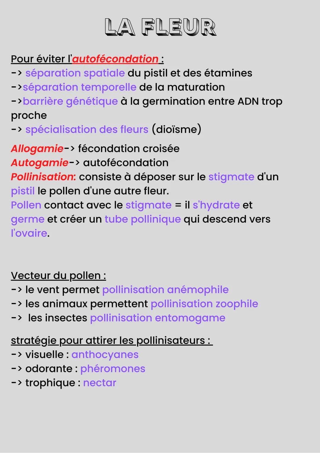 LA REPRODUCTION DES
PLANTES
Reproduction sexuée -> Méiose=Fécondation
Reproduction asexuée-> "Clonage"
Organes sous-terrain de réserves → bu