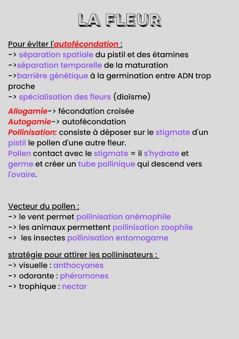 LA REPRODUCTION DES
PLANTES
Reproduction sexuée -> Méiose=Fécondation
Reproduction asexuée-> "Clonage"
Organes sous-terrain de réserves → bu