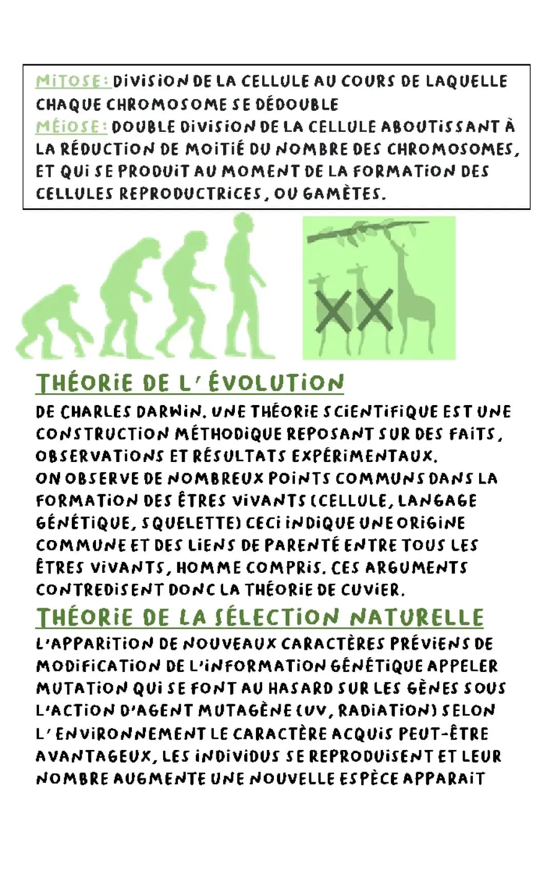 SVT 3ème : chromosomes et théories