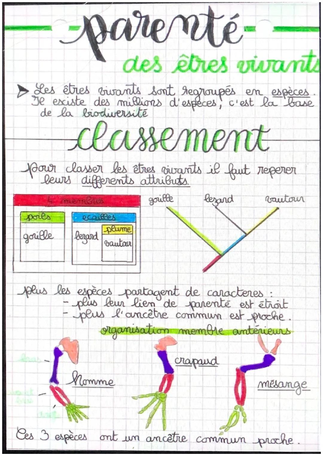 # parenté-

des êtres vivants

> Les êtres vivants sont regroupés en espèces
Je esciste des millions d'especes, c'est la base
de la biodiver