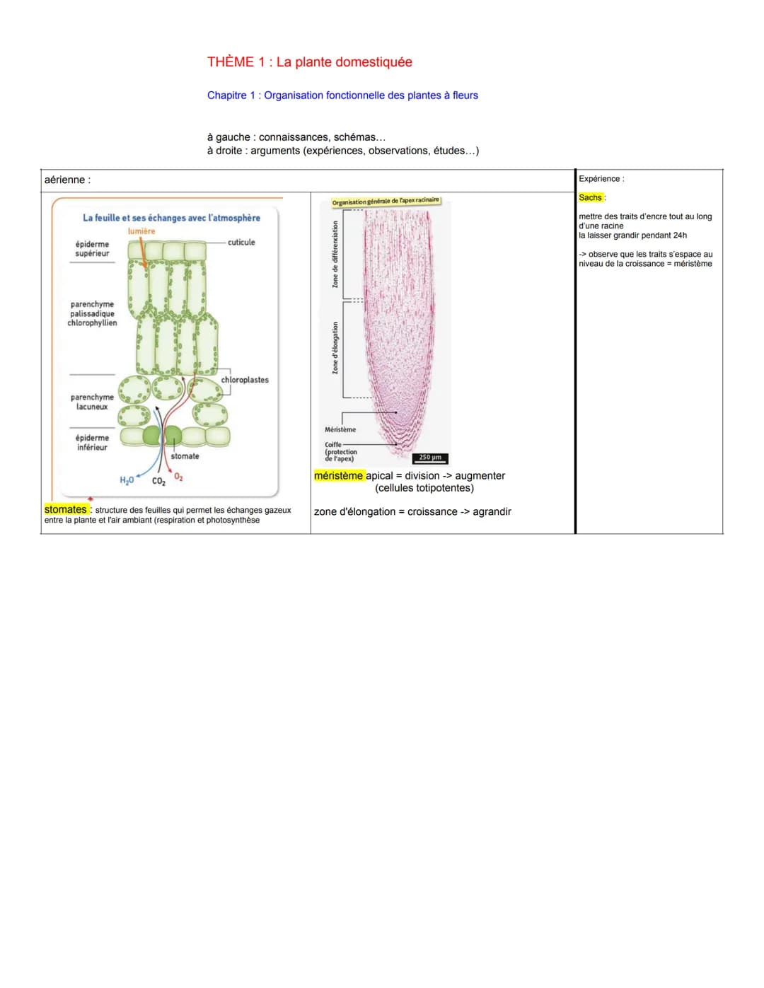 aérienne :
THÈME 1: La plante domestiquée
Chapitre 1: Organisation fonctionnelle des plantes à fleurs
à gauche connaissances, schémas...
à d