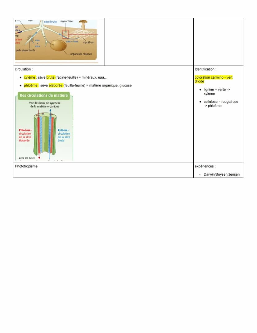 aérienne :
THÈME 1: La plante domestiquée
Chapitre 1: Organisation fonctionnelle des plantes à fleurs
à gauche connaissances, schémas...
à d