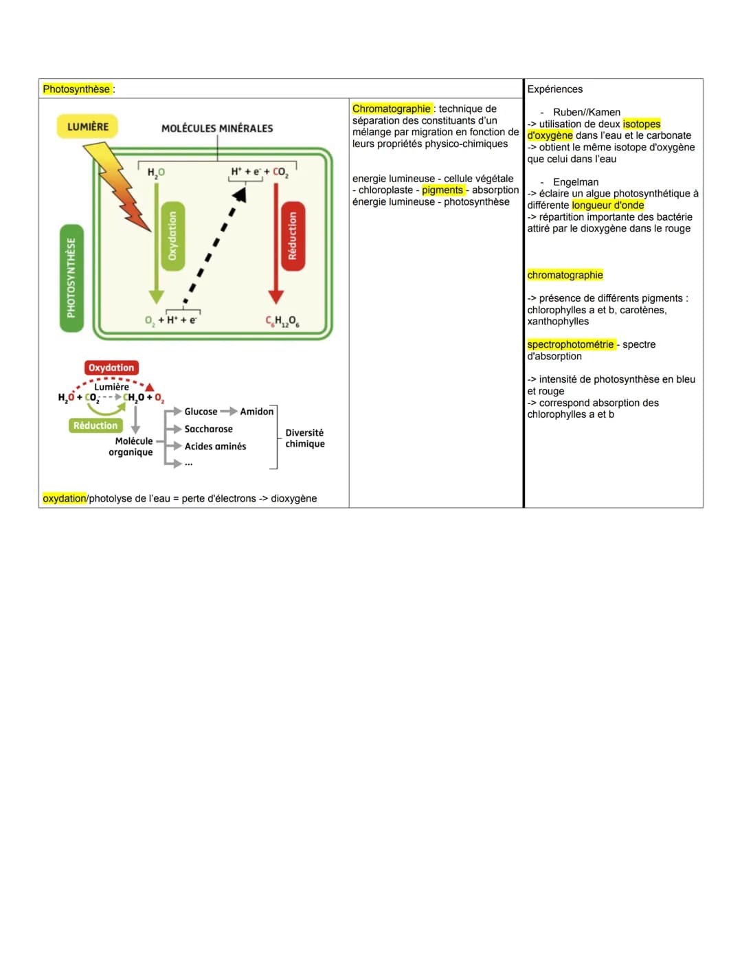 aérienne :
THÈME 1: La plante domestiquée
Chapitre 1: Organisation fonctionnelle des plantes à fleurs
à gauche connaissances, schémas...
à d