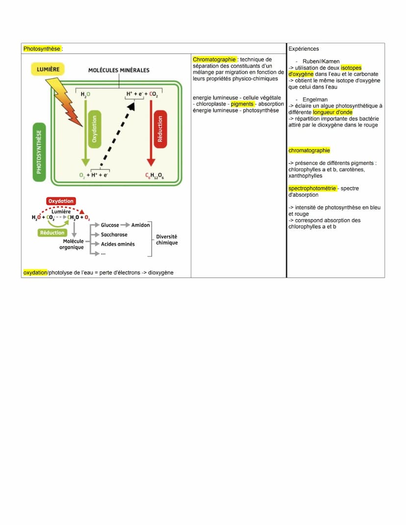 aérienne :
THÈME 1: La plante domestiquée
Chapitre 1: Organisation fonctionnelle des plantes à fleurs
à gauche connaissances, schémas...
à d