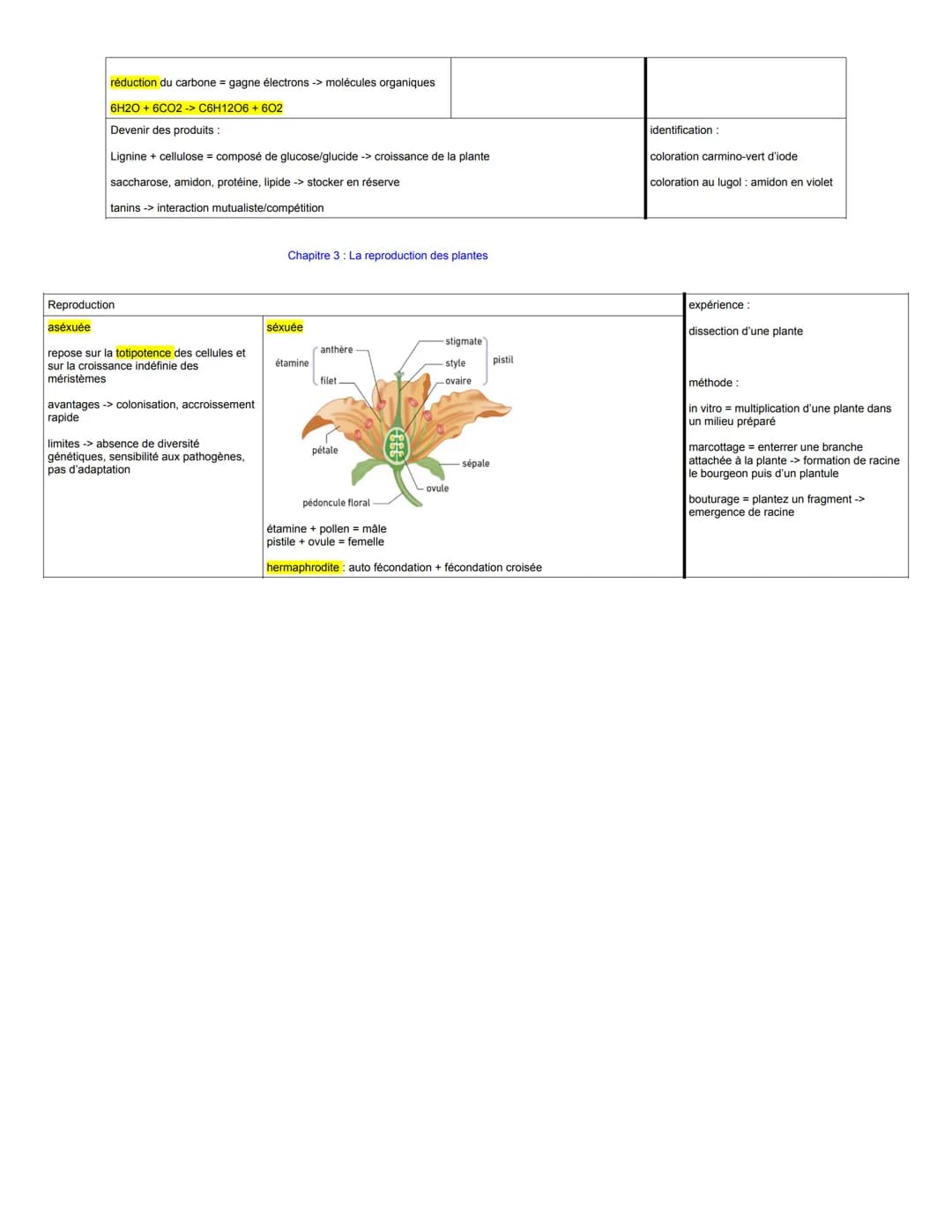 aérienne :
THÈME 1: La plante domestiquée
Chapitre 1: Organisation fonctionnelle des plantes à fleurs
à gauche connaissances, schémas...
à d