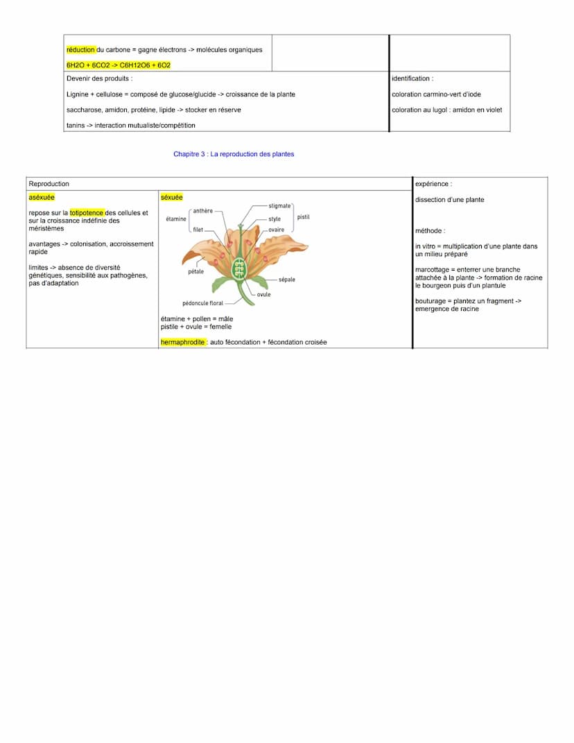 aérienne :
THÈME 1: La plante domestiquée
Chapitre 1: Organisation fonctionnelle des plantes à fleurs
à gauche connaissances, schémas...
à d
