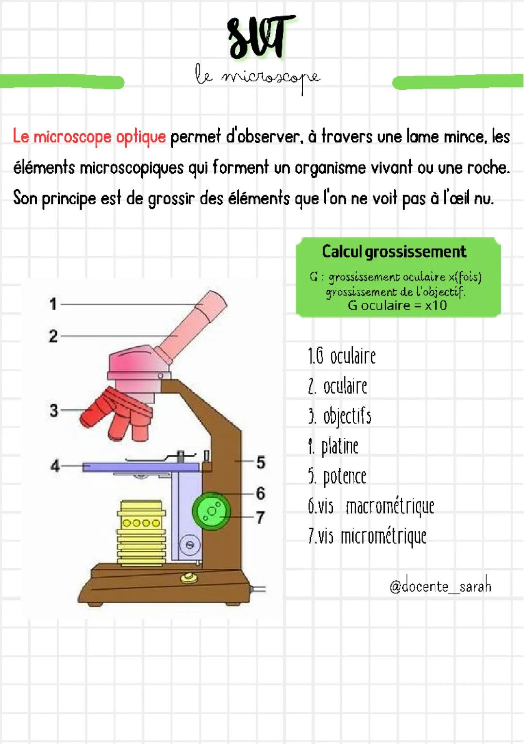 Le microscope (optique)