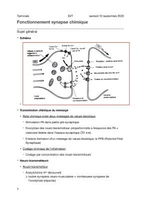 Know Cours 3.3 - Fonctionnement synapse chimique thumbnail