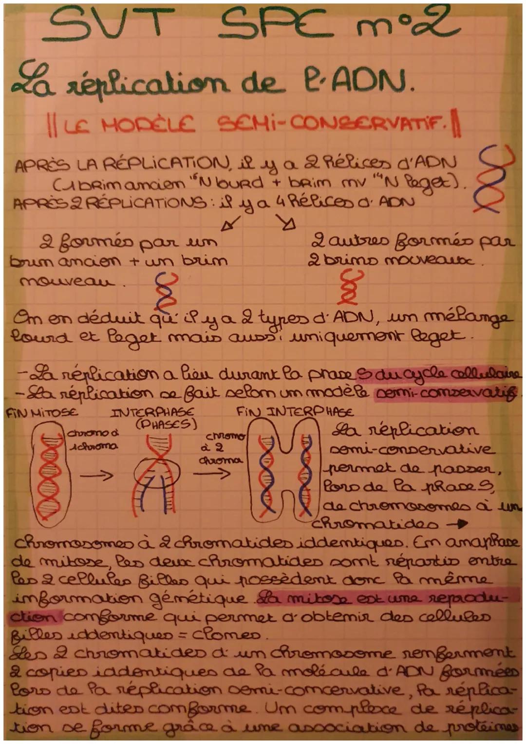 SVT SPC n°2
La réplication de P. ADN.
|| LE MODÈLE SEMI-CONSERVATIF.
APRÈS LA RÉPLICATION, il y a 2 hélices d'ADN
Cubrim ancien N buRd + bRi