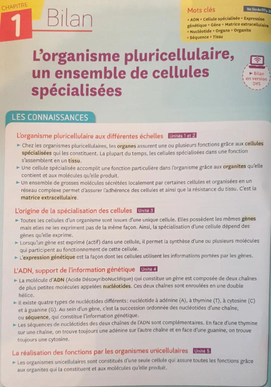 CHAPITRE
1
Bilan
Mots clés
Voir Dica des SVT
■ ADN ⚫ Cellule spécialisée Expression
génétique Gène⚫ Matrice extracellulaire
⚫ Nucleotide Org