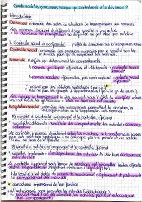 Know 1re: quelles sont les processus sociaux qui contribuent à la déviance ? thumbnail