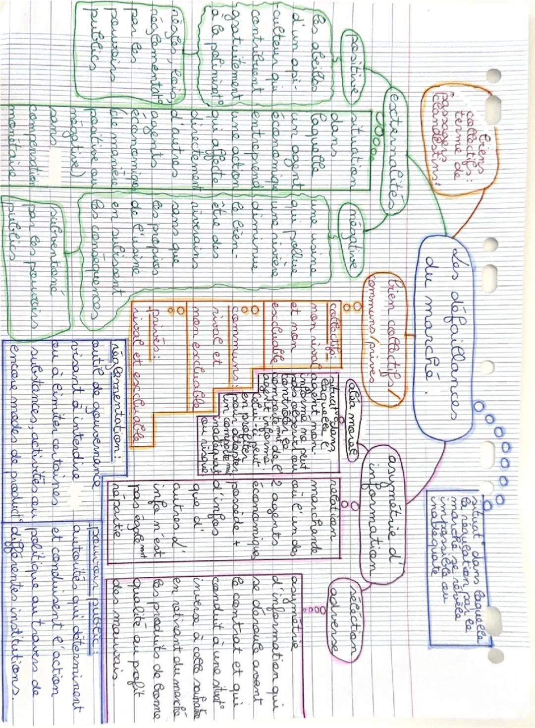 Crens
terme
Clandestins

(externalités

Les défaillances
du marché

positive situaticon (mégative

S
dans
les abeilles laquelle
d'un api-
Ju